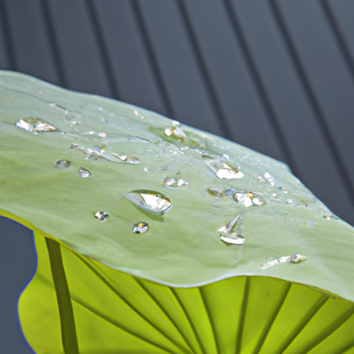 Biomimicry in Action: Nature-Inspired Solutions for Environmental Challenges